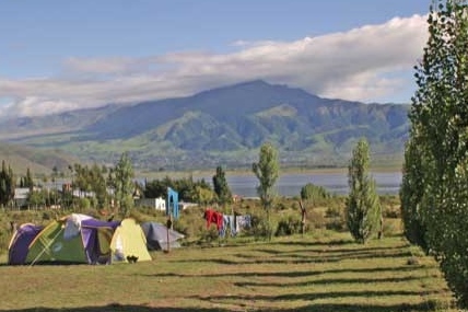 Cocodrilo